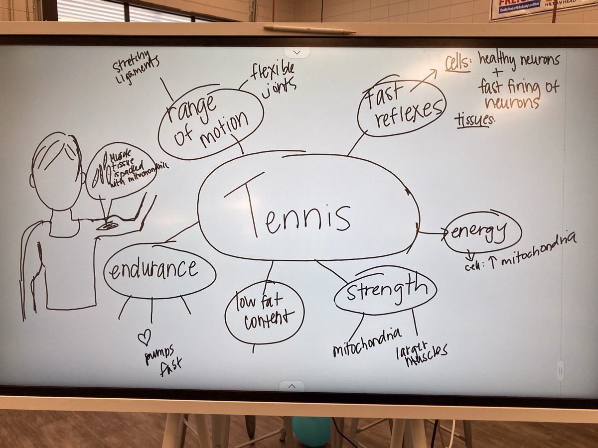 On a whiteboard there is a mind map showing brainstormed ideas about a tennis super athlete.