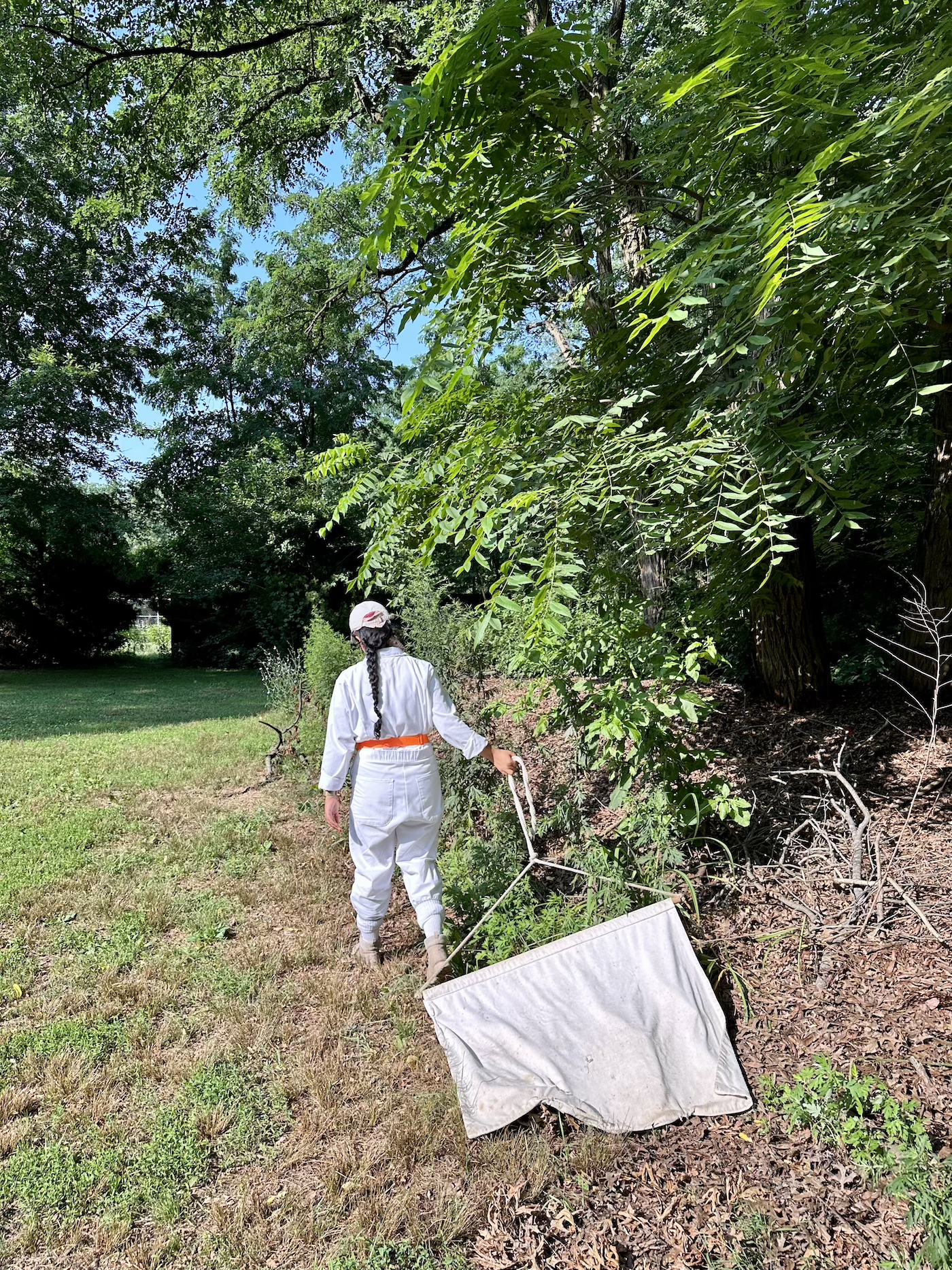 A person wearing all white drags a sheet across the ground in an outdoor green space.