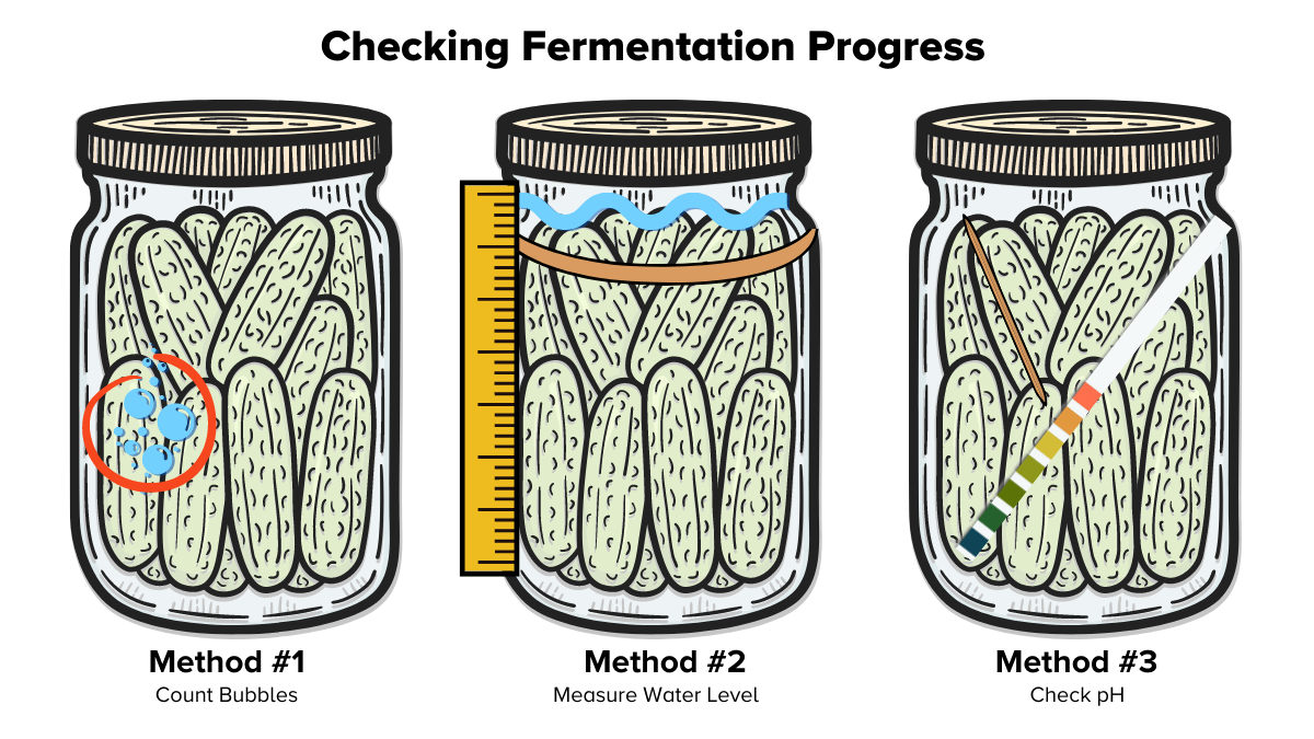 Three jars of pickles are shown. On the left most, there is a red circle drawn on the jar around several blue bubbles. The center jar has a rubber band around it near the top. A ruler is held to the left side to measure the distance between the rubber band and a wavy blue line showing the water level. The right most jar is shown with a multi-colored pH strip and a toothpick placed in front of the jar.