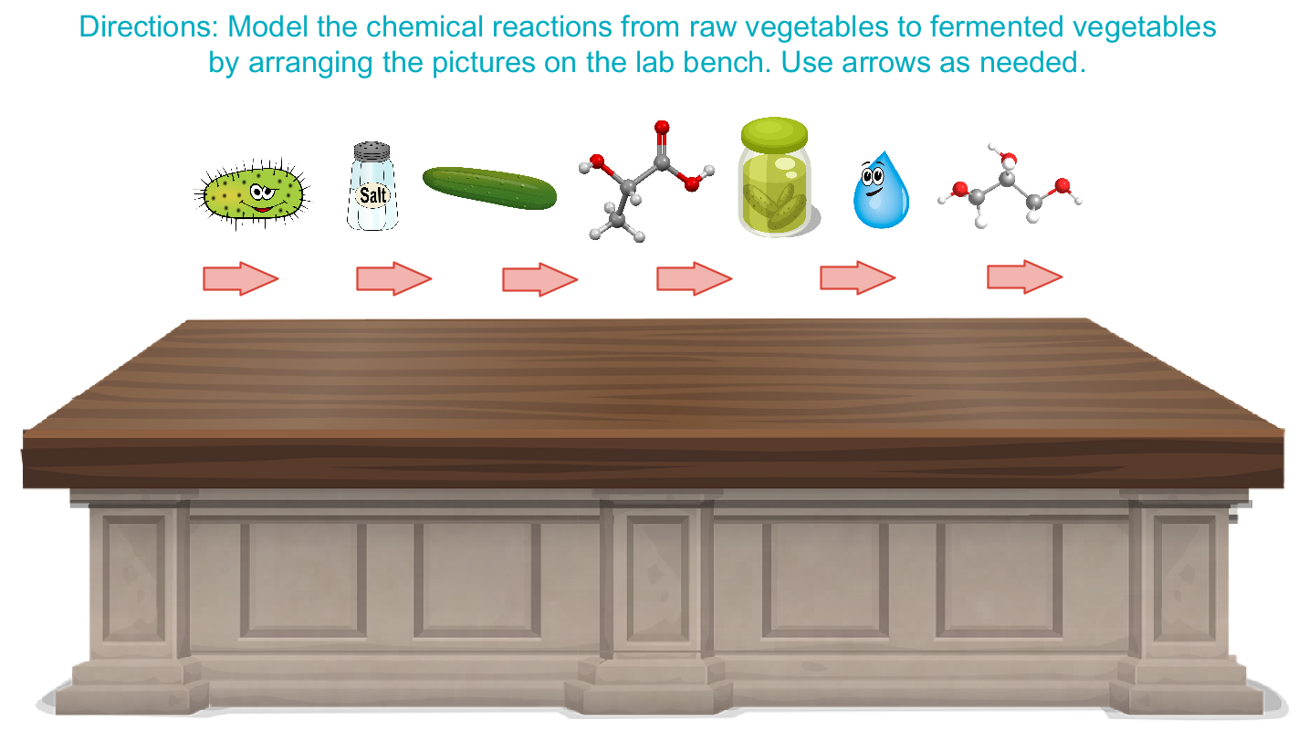 An illustration shows a desk with images of bacteria, water, salt, cucumbers, a jar of pickles, lactic acid and ethanol above it. The test reads, "Directions: Model the chemical reactions from raw vegetables to fermented vegetables by arranging the pictures on the lab bench. Use arrows as needed."