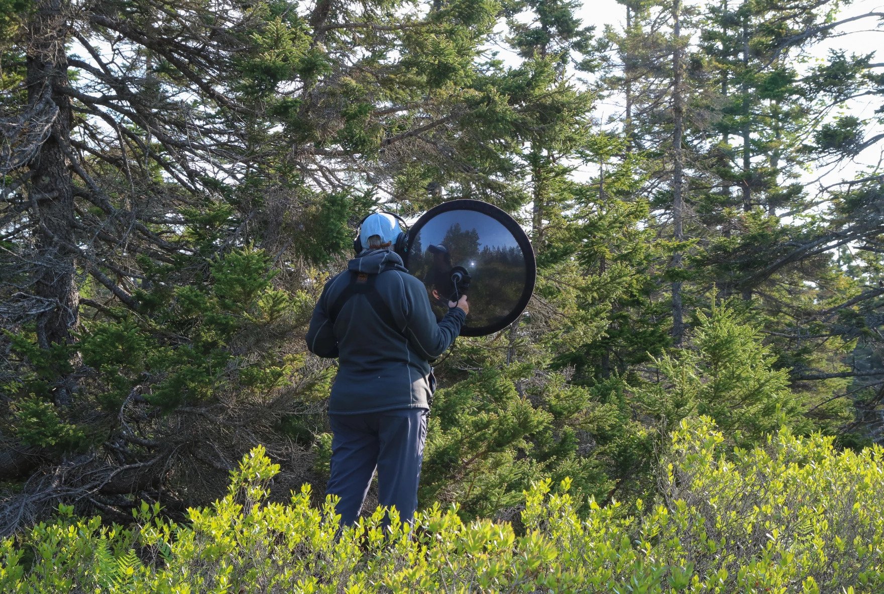 a woman holds a large dome-shaped recording device in a forest