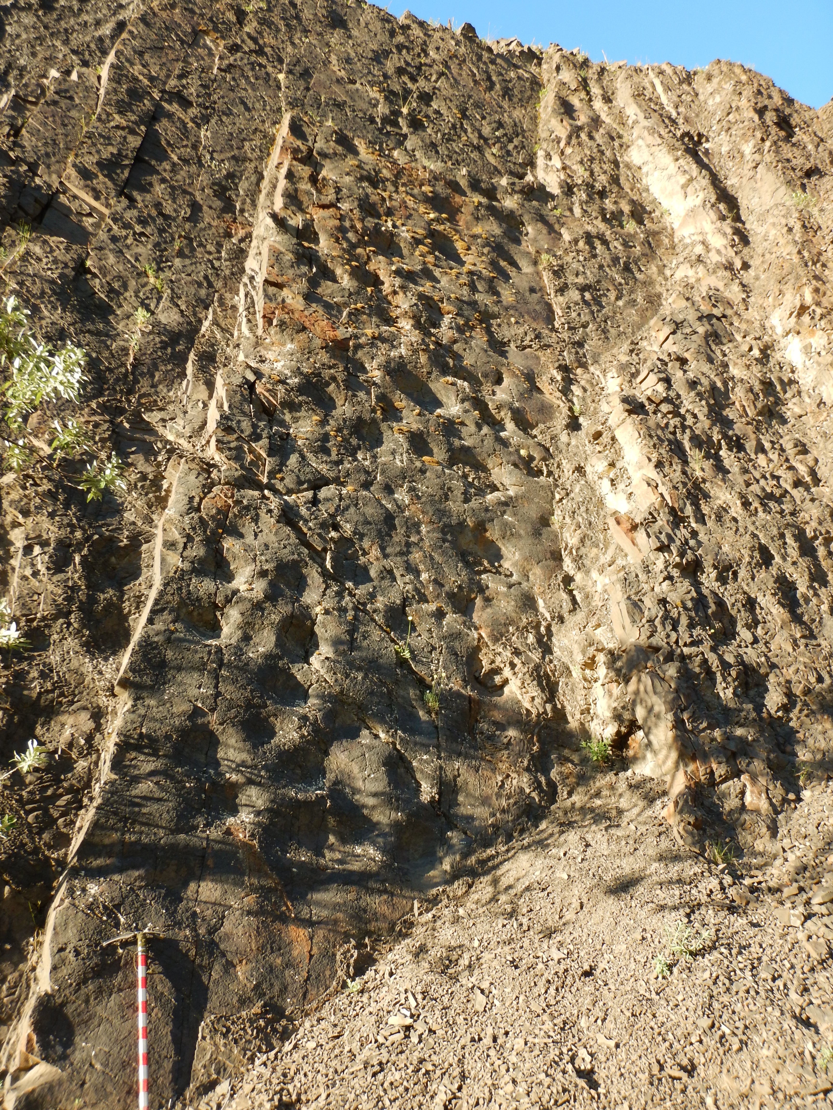 A tall, sloped wall of rock with thousands of round depressions in it.