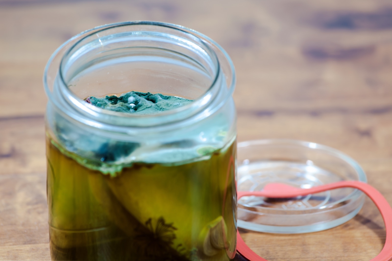 A jar of pickles with a fuzzy blue-green film with occasional fuzzy white dots that lays over the liquid.