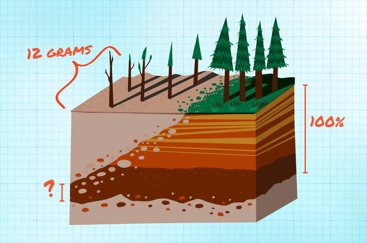 An illustration shows gray-brown dirt on the left with dead or dying trees, which slowly progresses to layers of gold, orange, and rich brown soil with healthy trees growing.