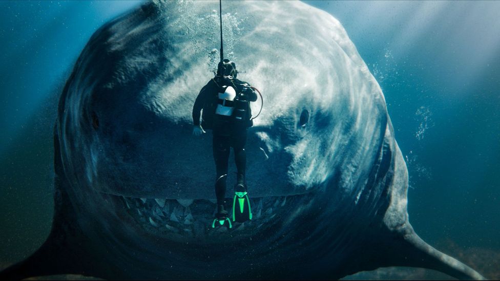 A giant shark staring right at a man in a diving suit