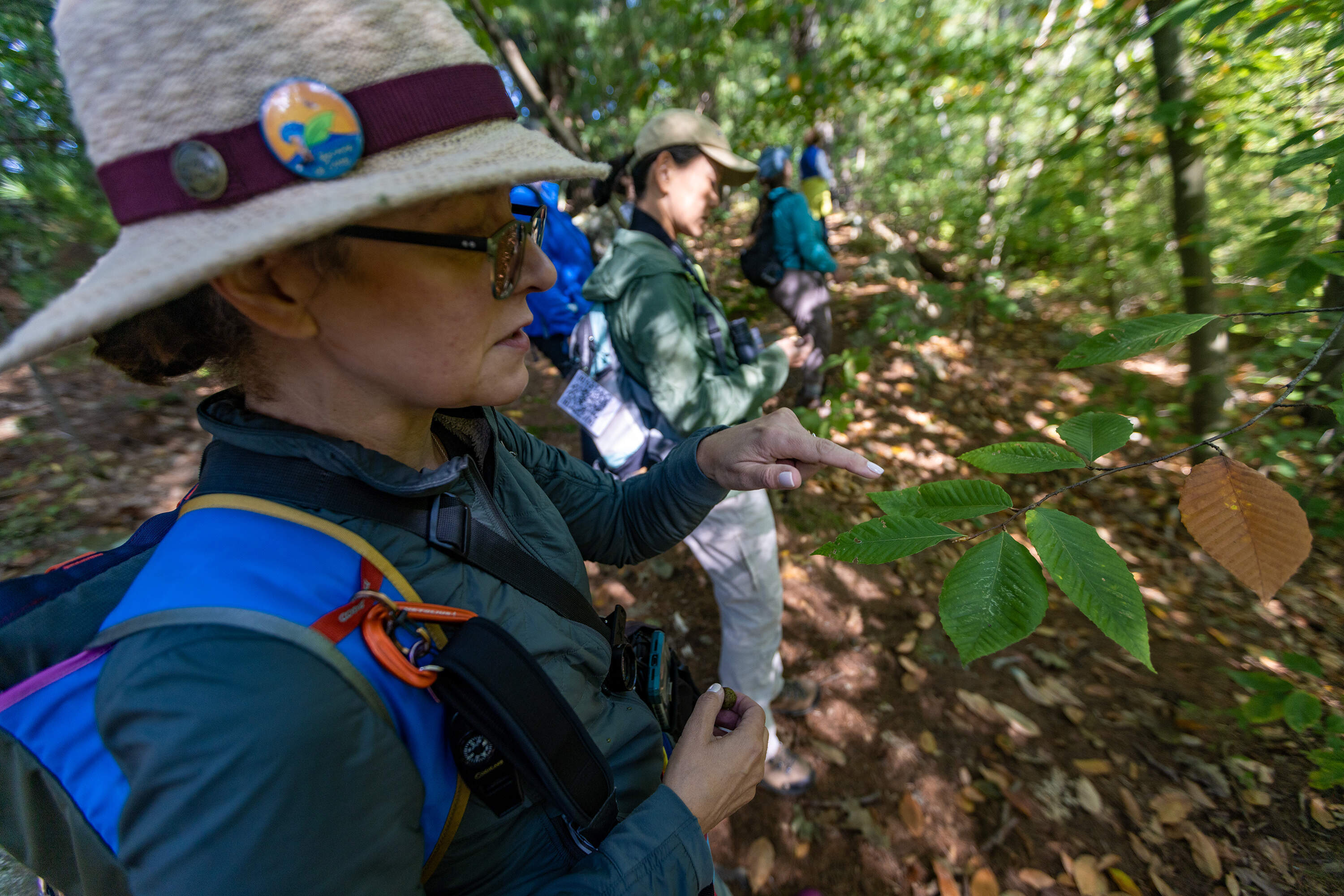 A woman points at a beech leaf in a forest. Someone stands in the background also looking at beech leaves.