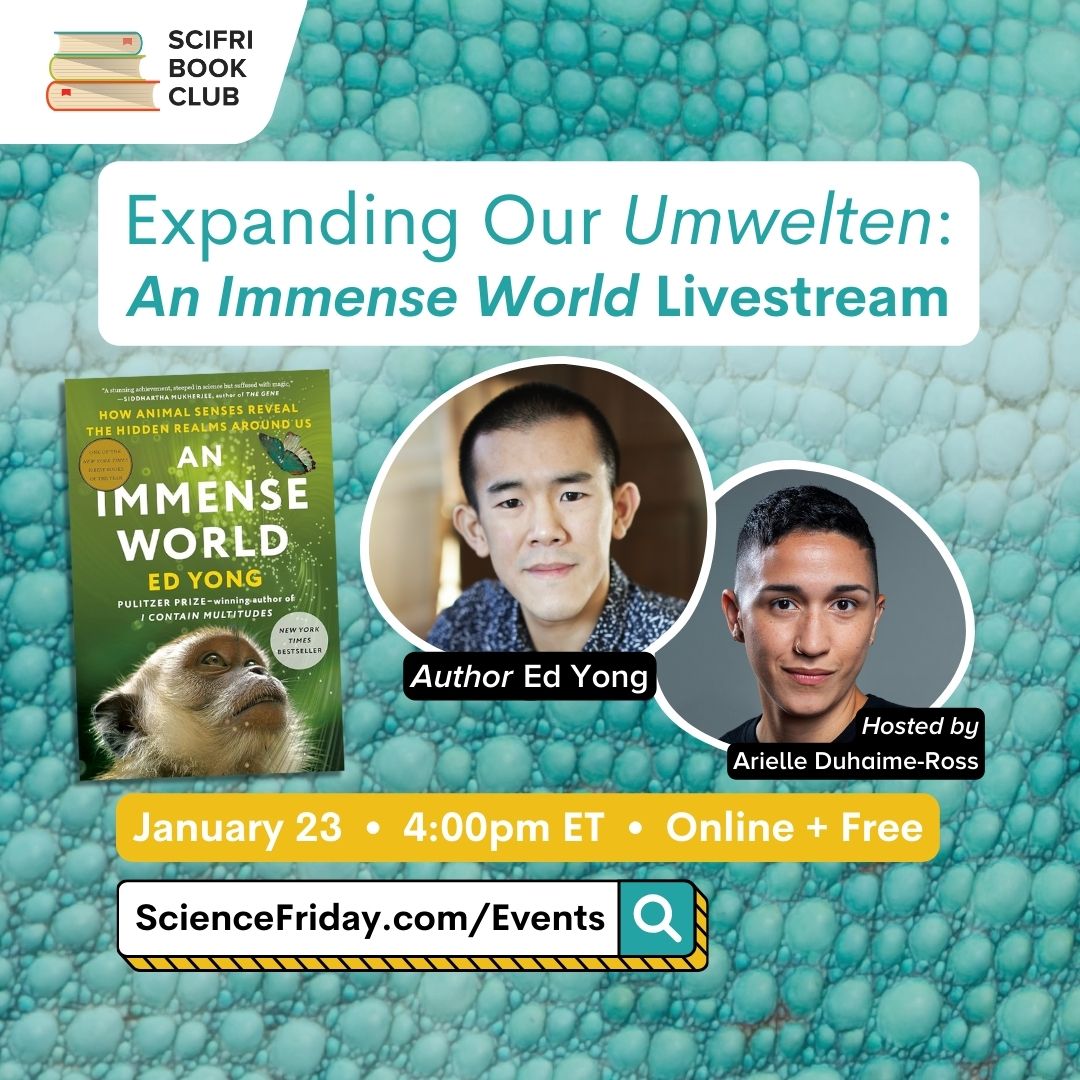 Event promotional image. In the top left corner, SciFri Book Club logo, with event info below, which reads: "Expanding Our Umwelten: An Immense World Livestream. January 23, 4:00pm ET, Online + Free, ScienceFriday.com/Events." The middle features the book cover of AN IMMENSE WORLD by Ed Yong, and headshots of Author Ed Yong and host Arielle Duhaime-Ross. The background is a close-up photo of aquamarine lizard skin.