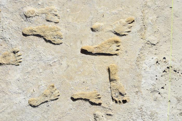 Imprints of human footprints in light-colored rock