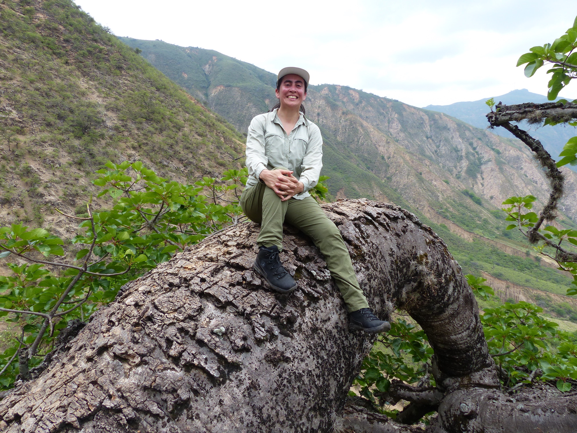 A woman in green pants and long-sleeve shirt sits smiling on an enormous, curved tree trunk against the backdrop of a canyon full of vegetation.