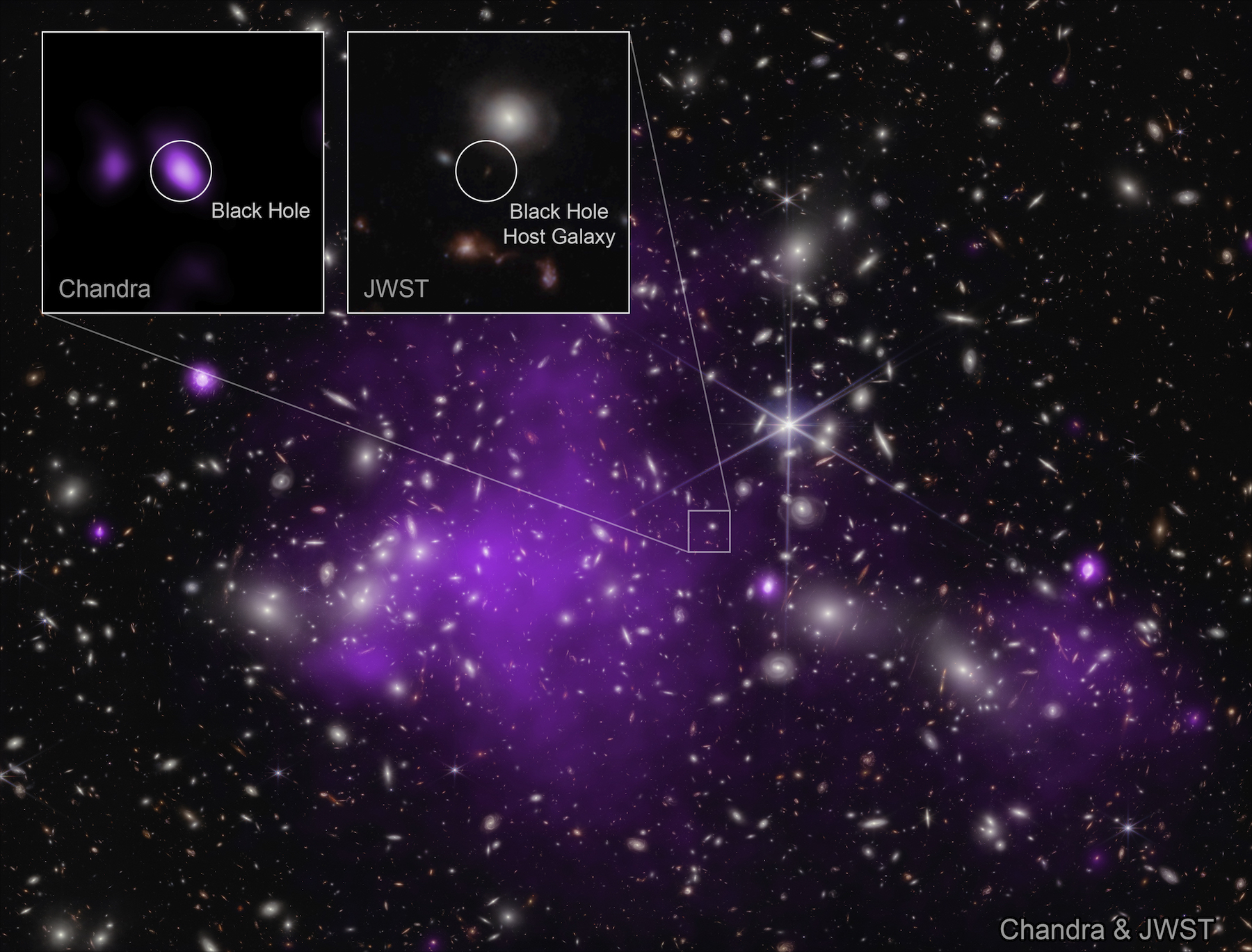 Against a black background, a hazy purple cloud with clusters of galaxies that look like fuzzy white dots. A black hole in the center is highlighted in an inset.