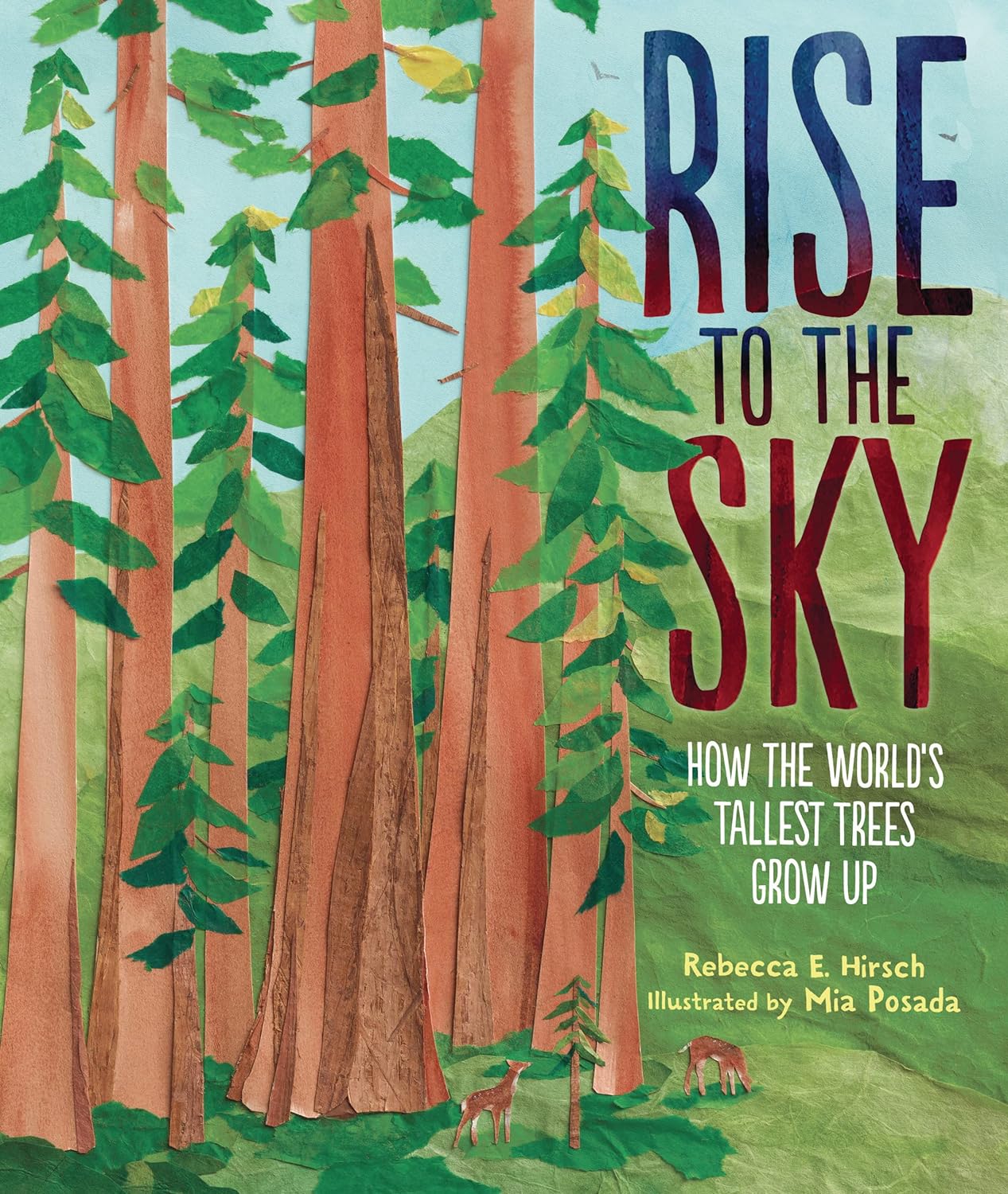 "Rise To The Sky: How the world's tallest trees grow up" book cover, pictures of trees