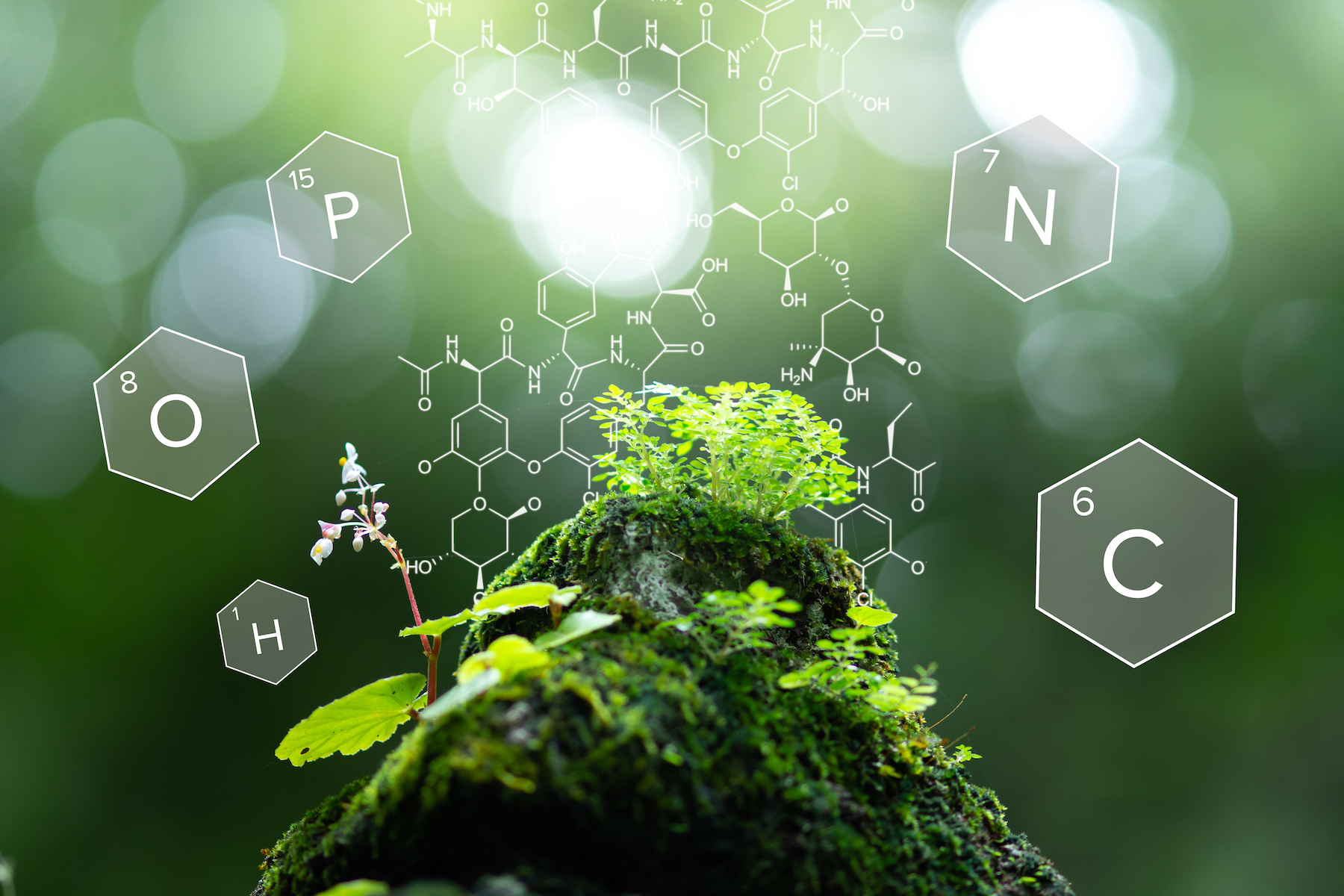 how-five-elements-define-life-on-earth