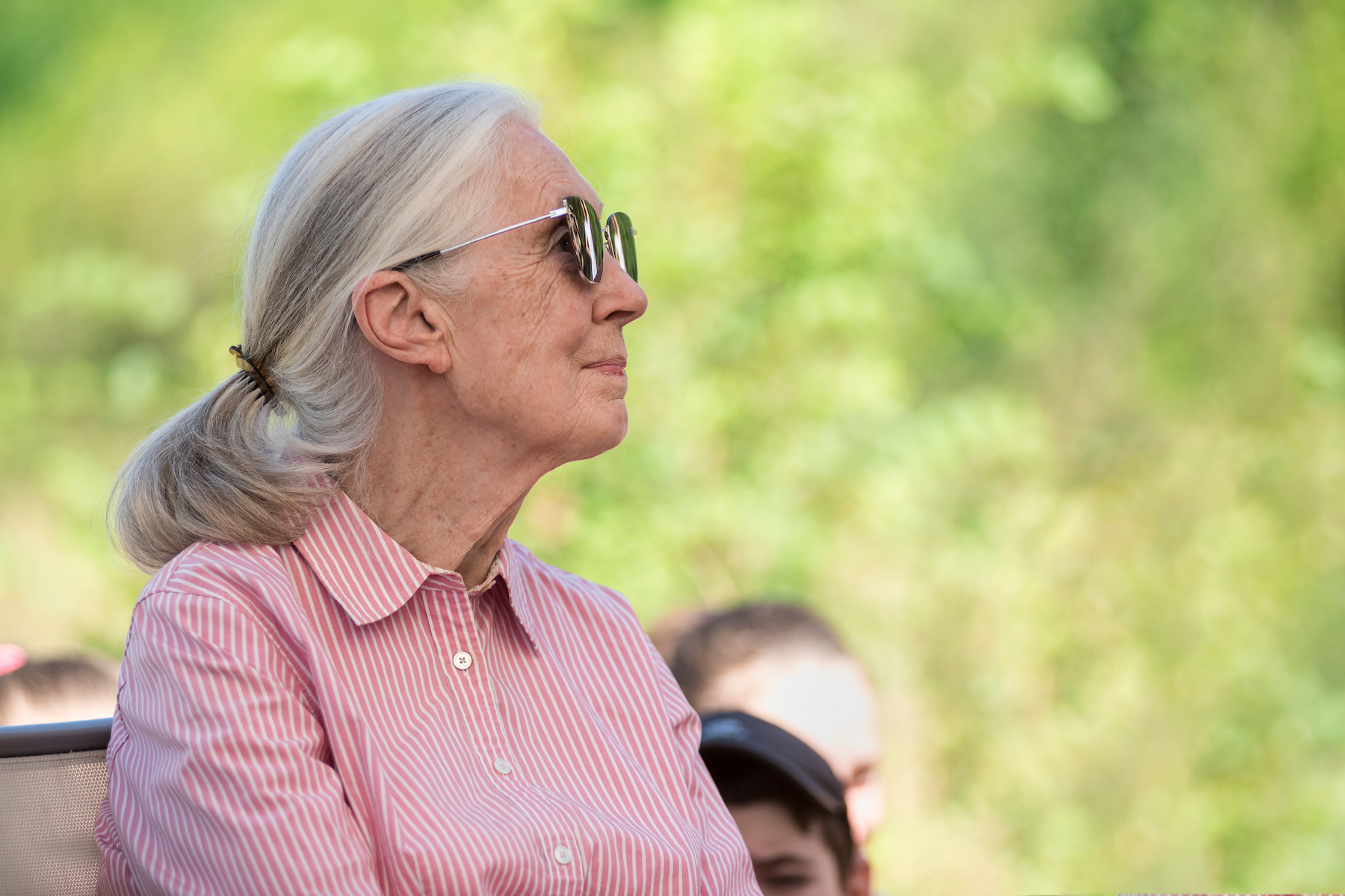 An older woman wearing a pink shirt and sunglasses looks out to the right against a blurry green background.