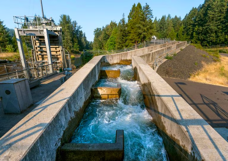 A concrete container with water running inside of it, little "step" shaped blocks are inside bringing the water up a hill.