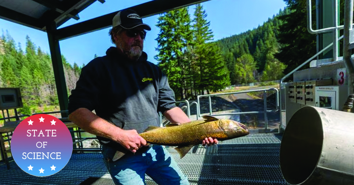 The ups and downs of fish stocks: Dropping fish in Cascade Lakes – NPR for Oregonians