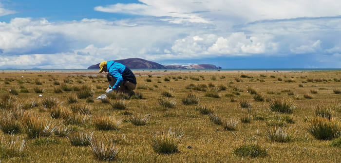A person crouching on a vast grassy plateau, doing some work with their hands on the ground.