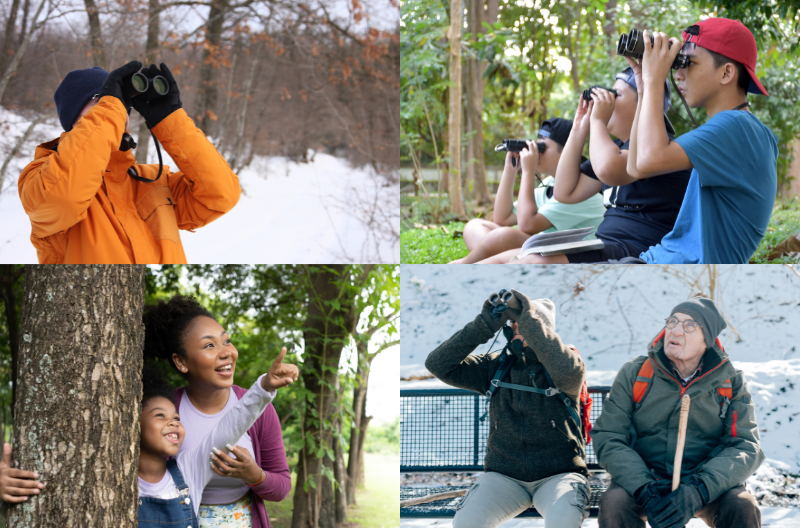 A Celebration Of The 2023 Christmas Bird Count - Vimarsana News