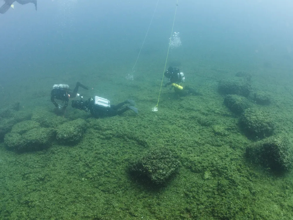 Two scuba divers swimming underwater with a net