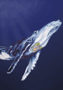 A humpback whale swimming through the ocean with the shape of its larynx painted on its neck. The larynx is shaped like a butterfly, and fits between its two fins.