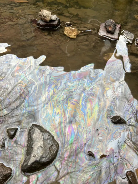 An oily, iridescent coating over water in a stream