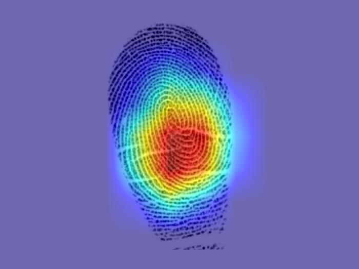 A fingerprint with a red spot in its center, which fades outward towards the print's edges into a gradient of yellow and blue