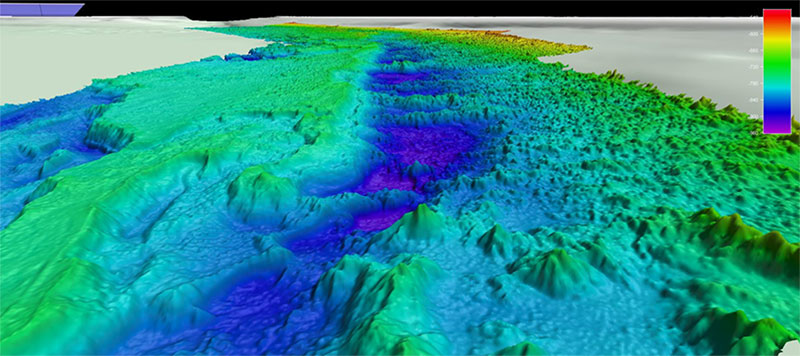 A 3-D graphic elevation model of an undersea surface.
