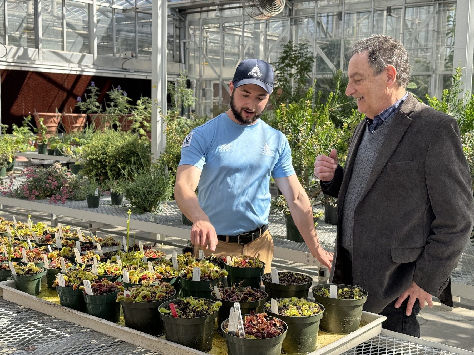 A man wearing a baseball cap points at pots of venus flytrap plants inside a greenhouse. Another man looks on, remarking on them. US Botanical Gardens