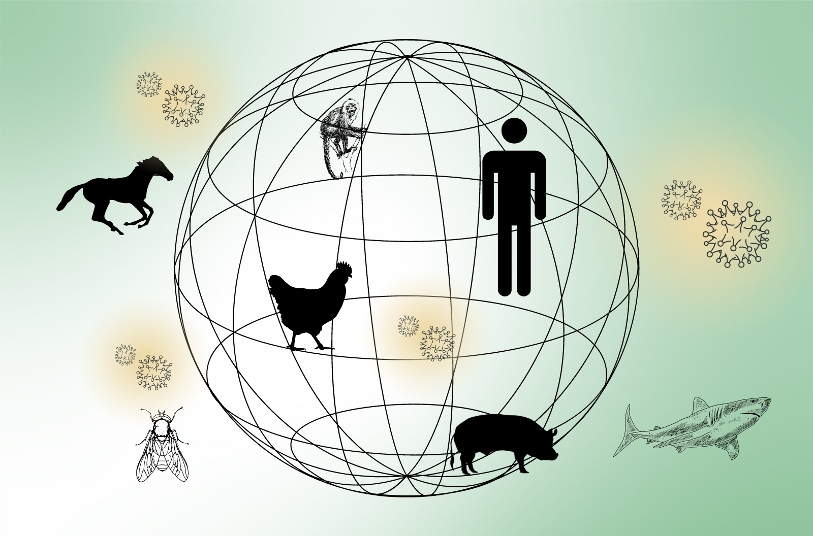 A globe with animal and human symbols being connected by viral particles