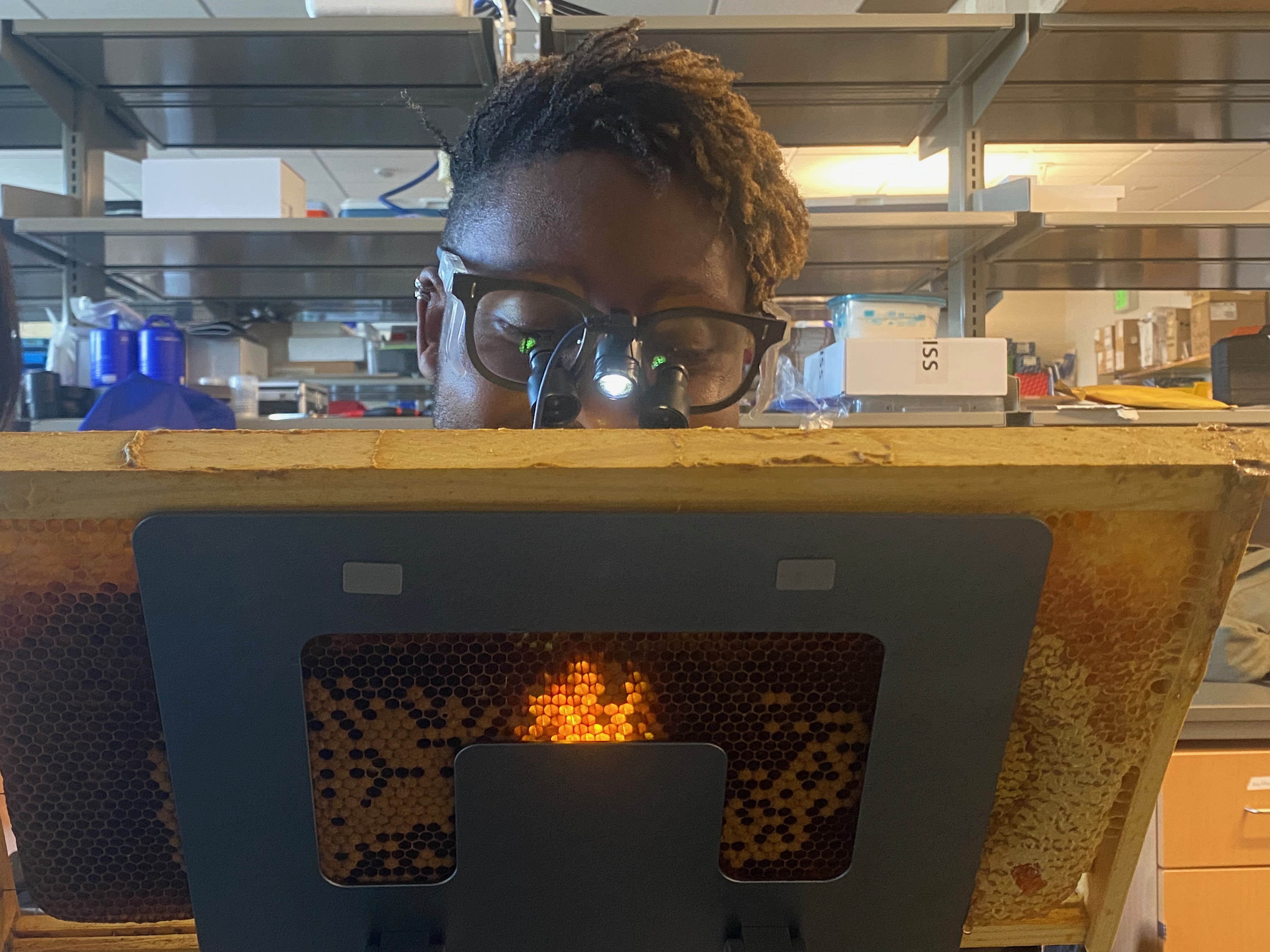 A Black man wearing glasses with a tiny magnifying scope in front of his eyes, staring into a large honeycomb looking for bees with parasites