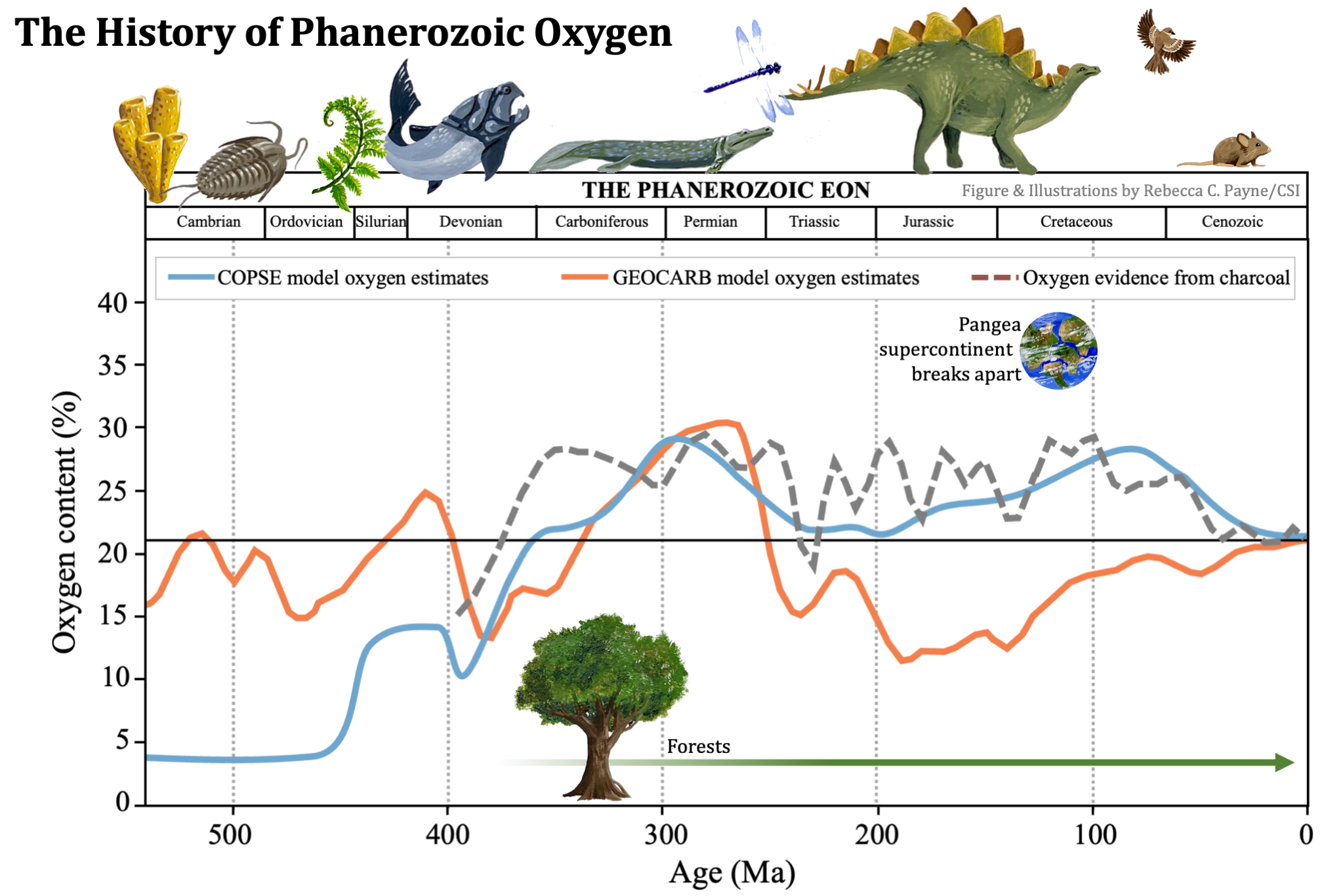 A History of Phanerozoic Oxygen: lines going up and down showing varied oxygen levels over the last 500 million years. All 3 converge at 300 MYA, where O2 is 30%.