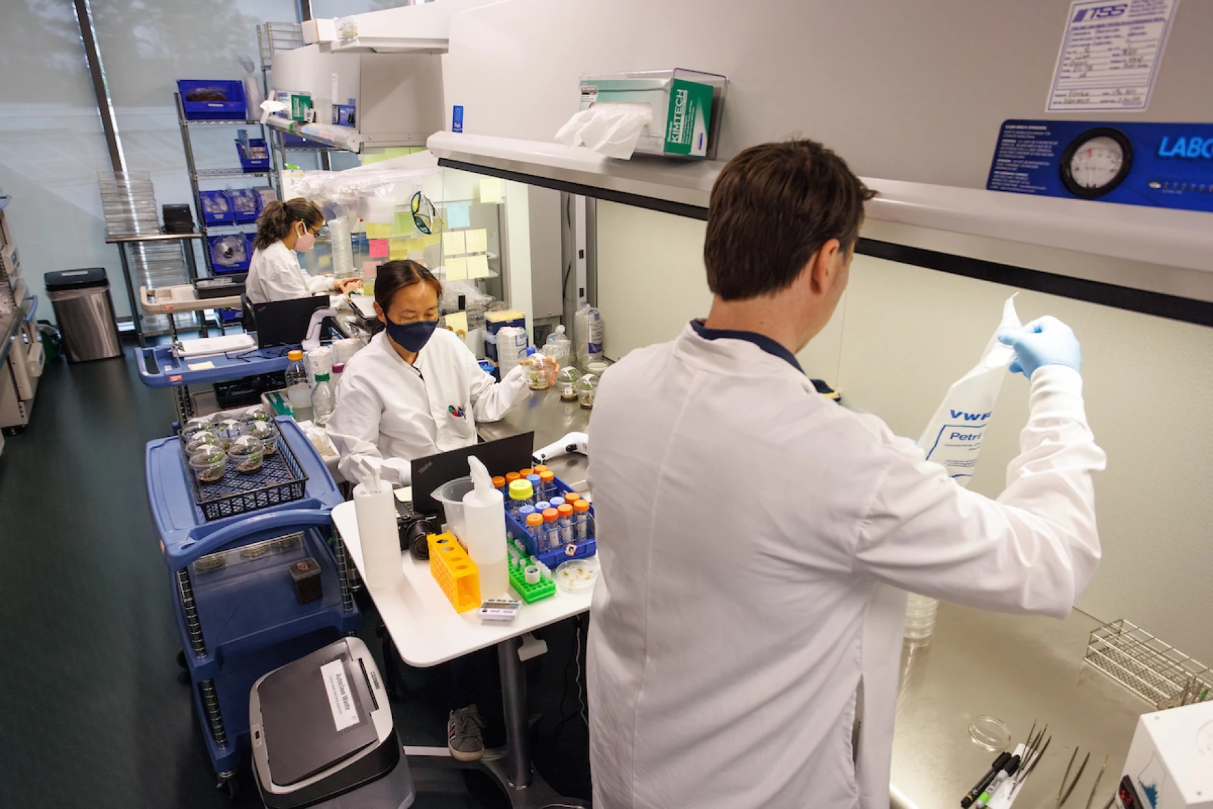 Two scientists in lab coats do genetic tests using pipettes