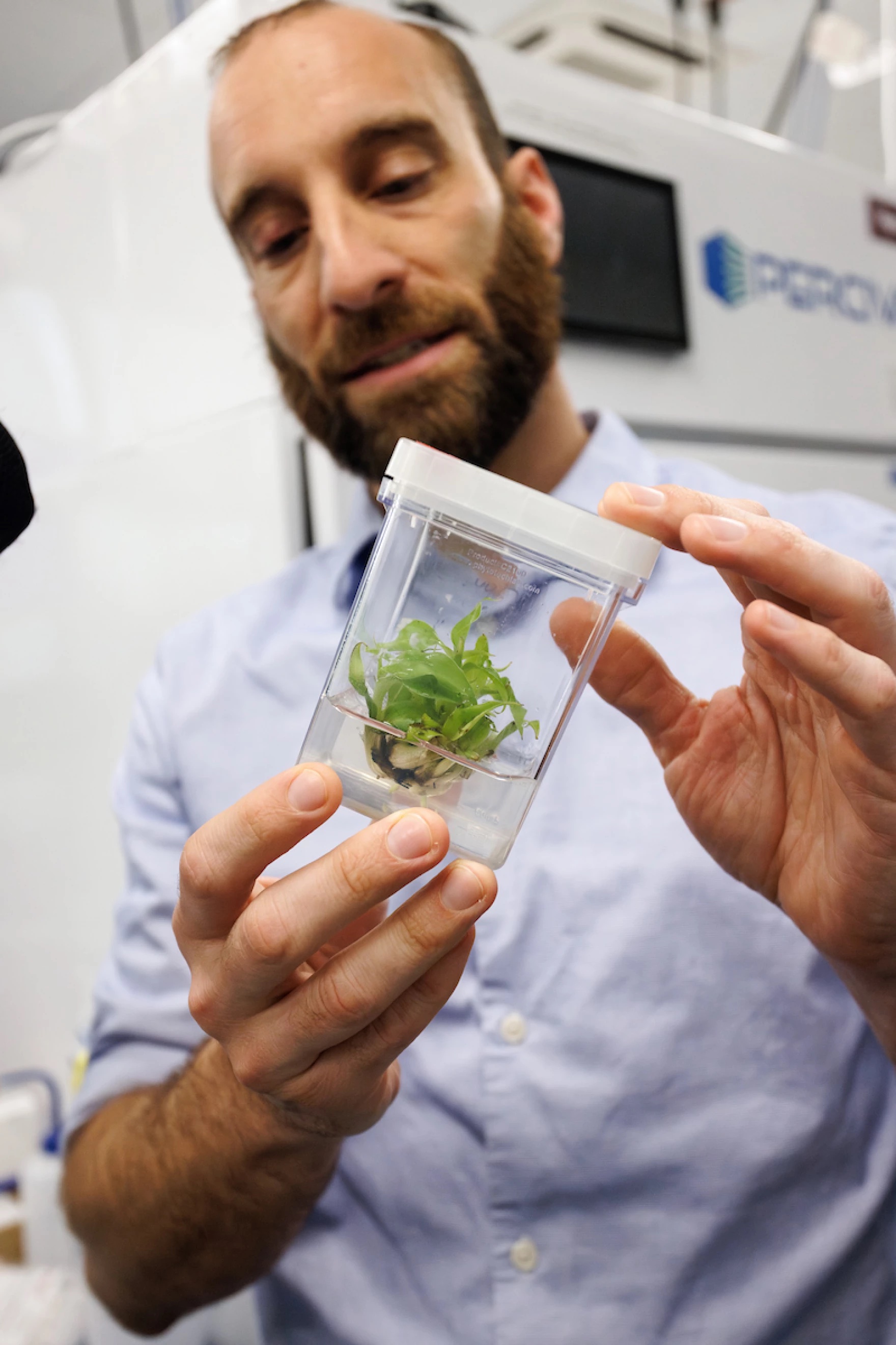 A man holds a plastic jar containing a small green plant