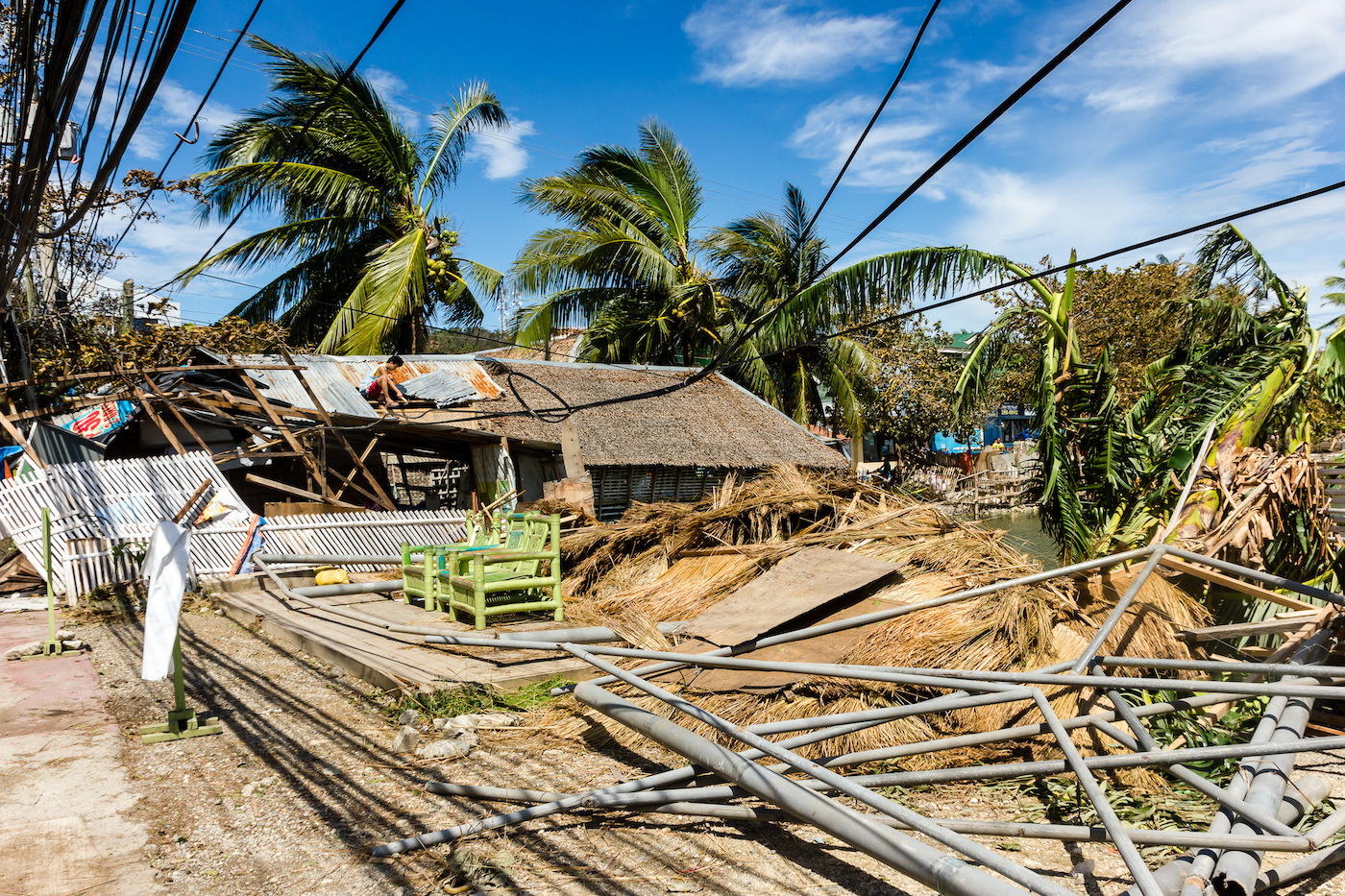 Palm trees fallen over a wooden building that has destroyed supportive structures strewn around it