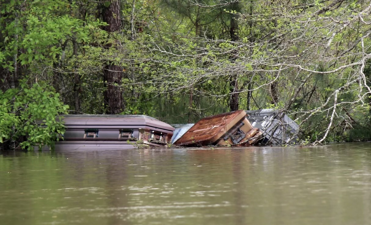 Three or four chests in different colors float on a river of brown water, sideways between tree branches and against a backdrop of trees.