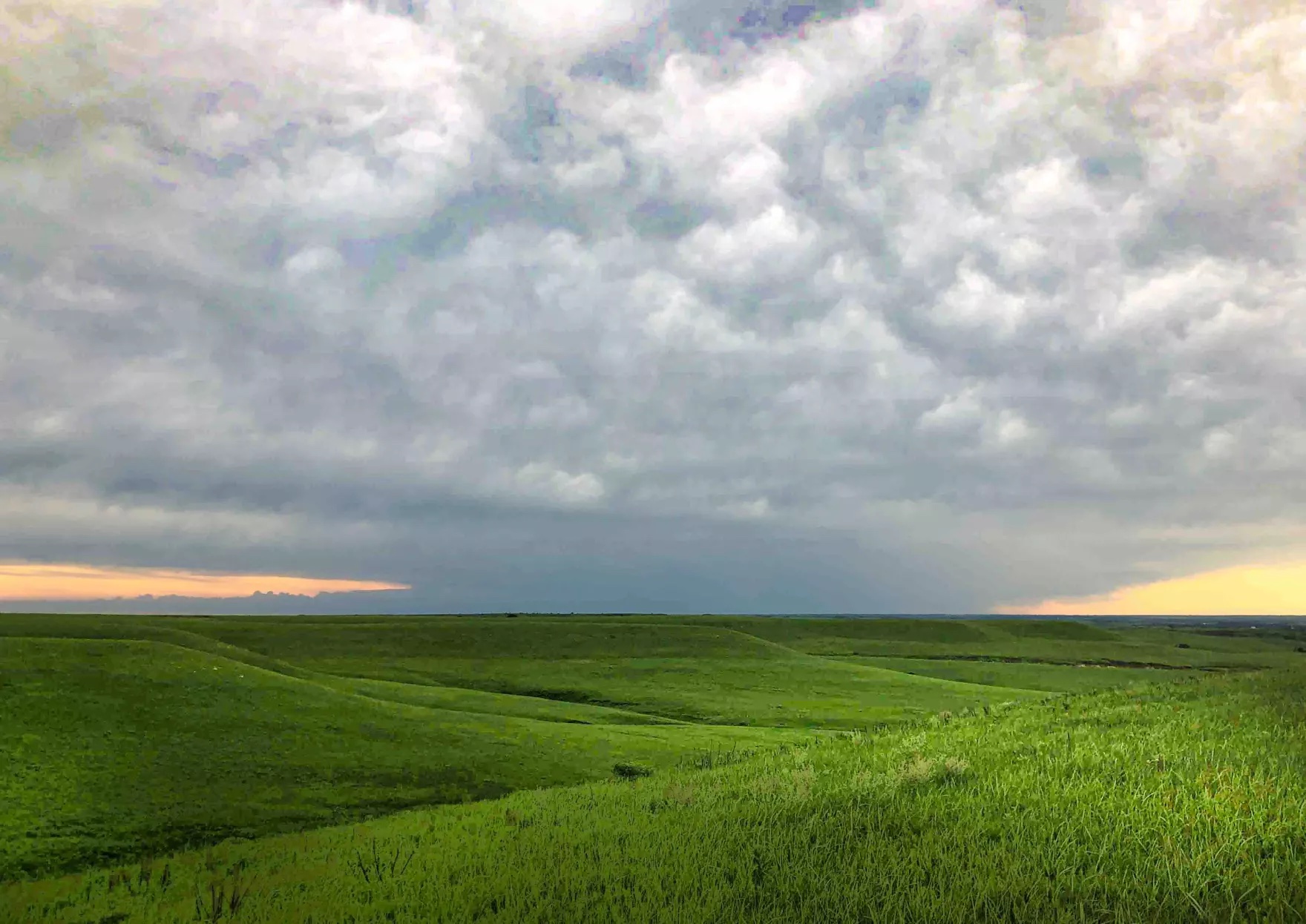 A bucolic grassland, stretching out to the horizon with no tree cover.