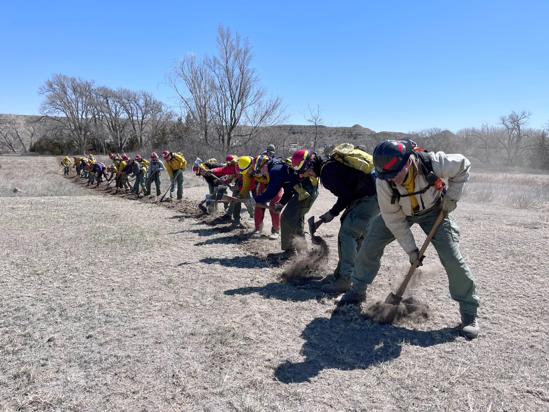 A line of men digging holes in burnt ground.