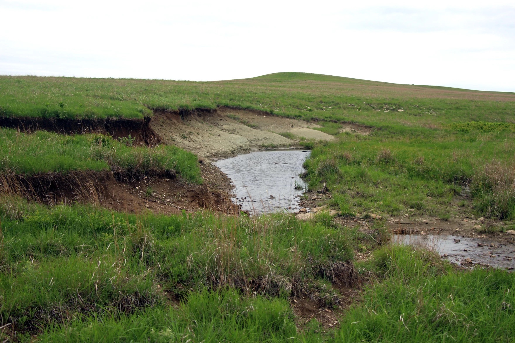 A prairie with a small creek running through it.