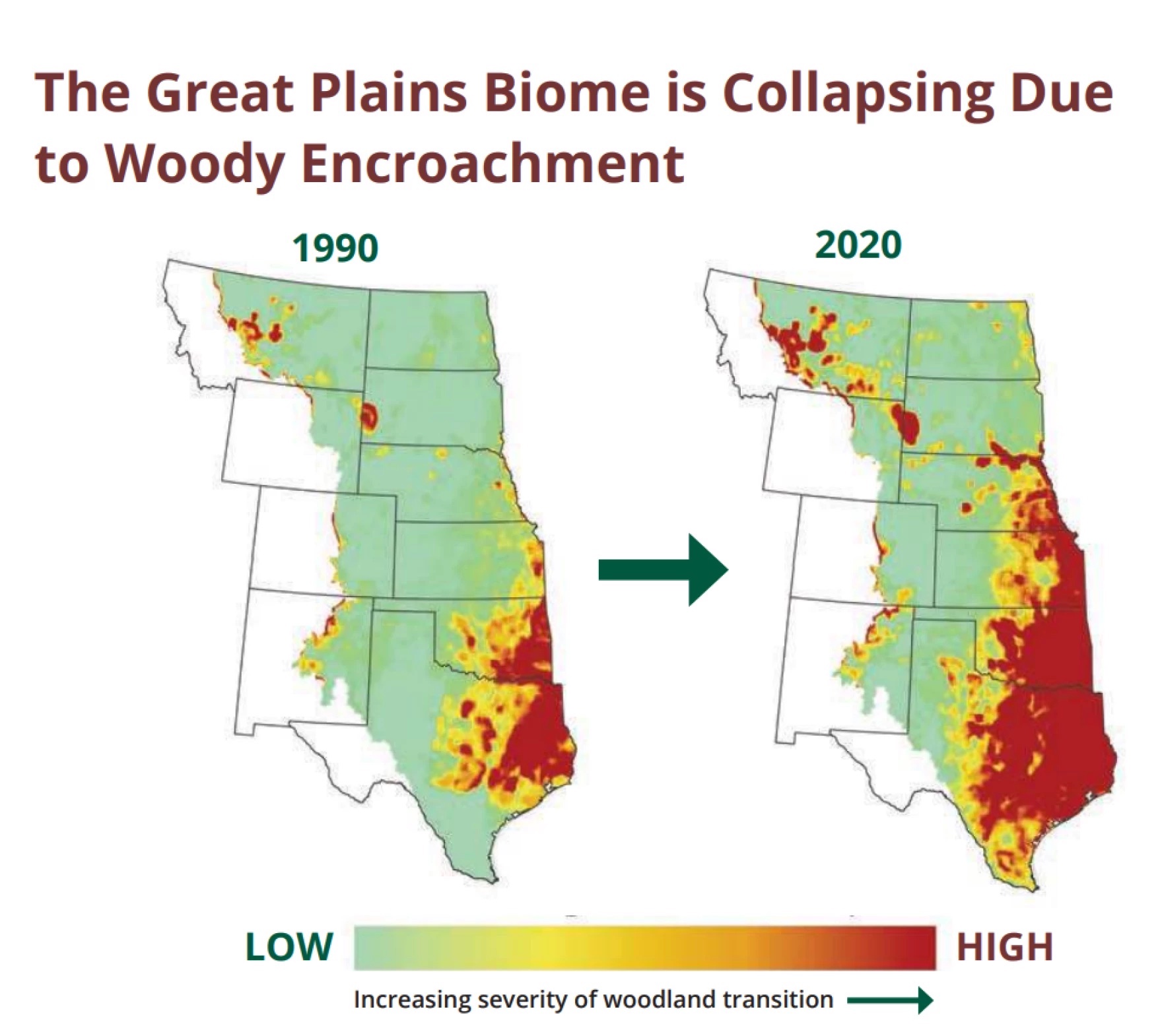 From 1990 to 2020, the Great Plains region became more covered in woodlands.