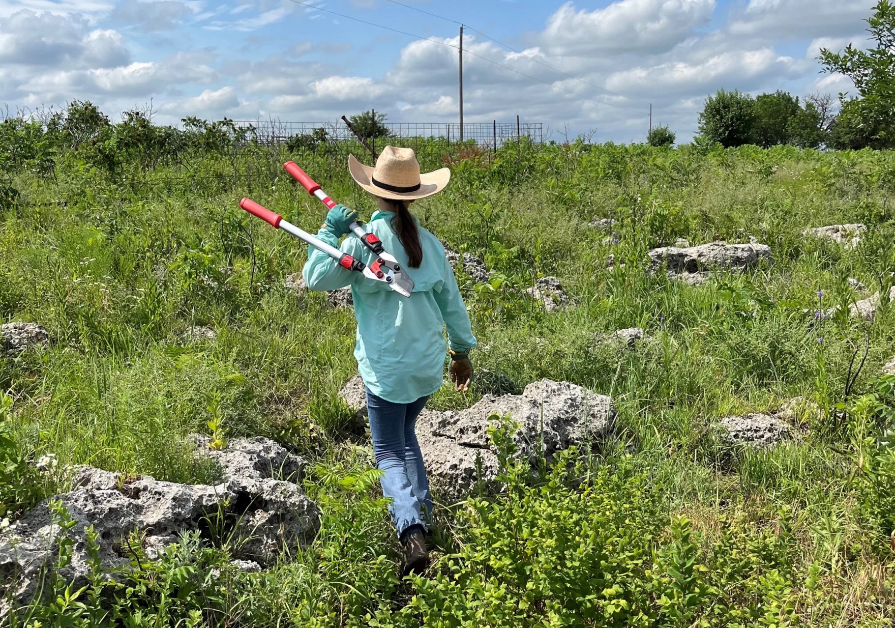 A woman holding gardening clippers walking up a shrubby area.