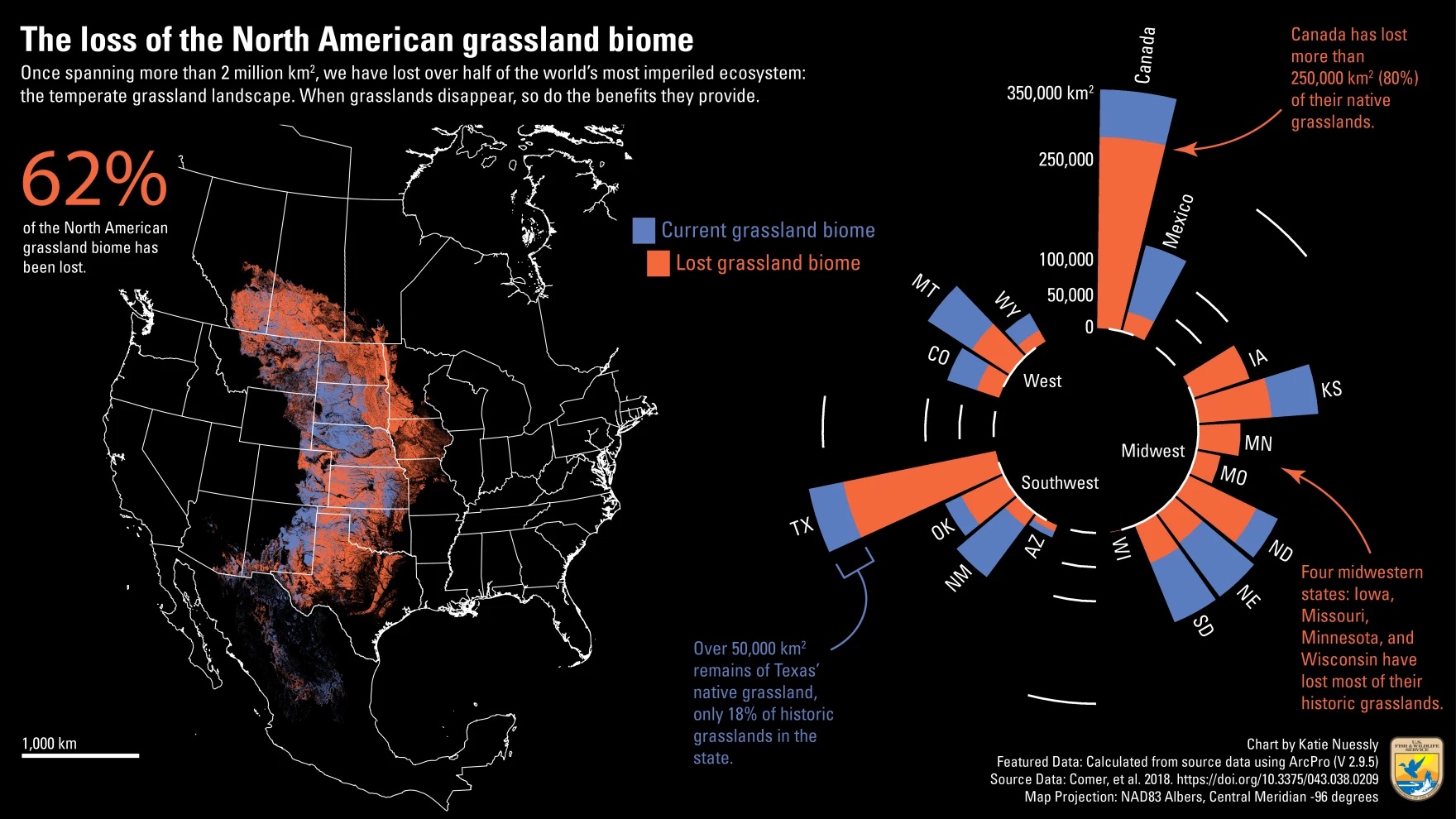 A map of the US showing 62% of the North American grassland biome has been lost. On the right, a circular bar graph shows how much grassland loss is occurring in different Great Plains areas. Canada has lost more than 250,000 square km of their native grassland, a massive amount compared to the other places.