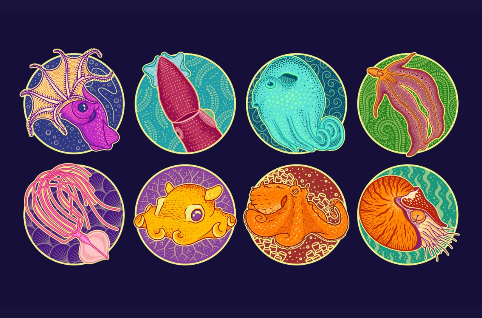 8 brightly colored cephalopods