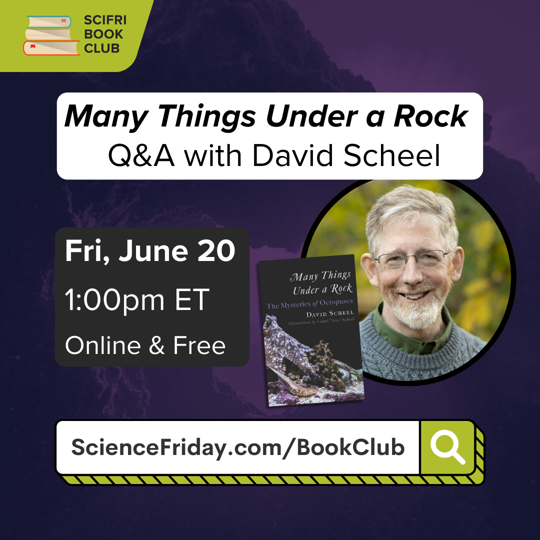 Event promotional image. In the top left corner, SciFri Book Club logo, with event info below, which reads: "Many Things Under a Rock: Q&A with David Scheel. Fri., June 20, 1:00pm ET, Online + Free, ScienceFriday.com/Events." The middle features the book cover of MANY THINGS UNDER A ROCK, and headshot the author, a white man smiling and looking forward. The background is an abstract image with deep purples.