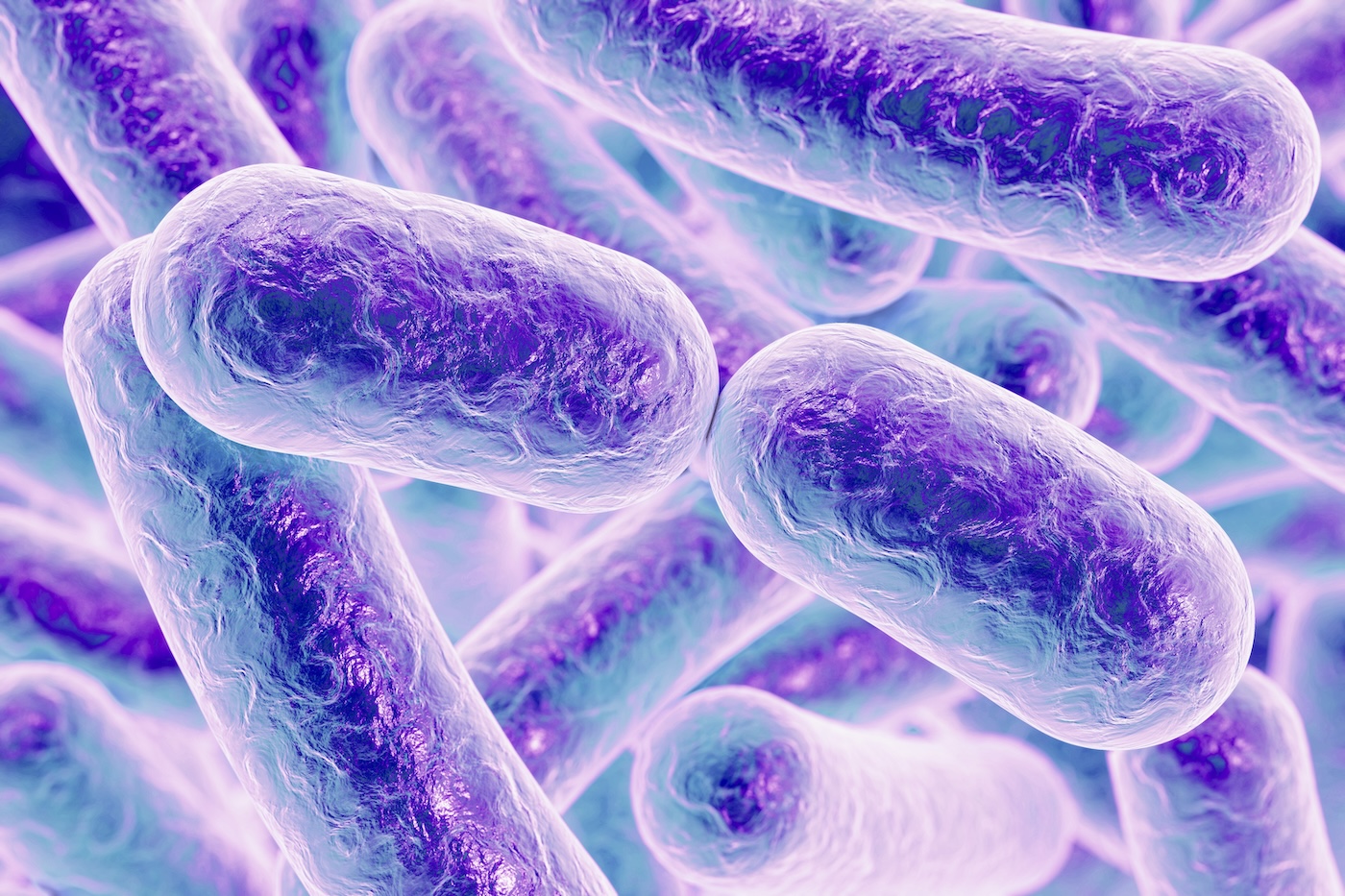 How Do Bacteria Talk To Each Other?