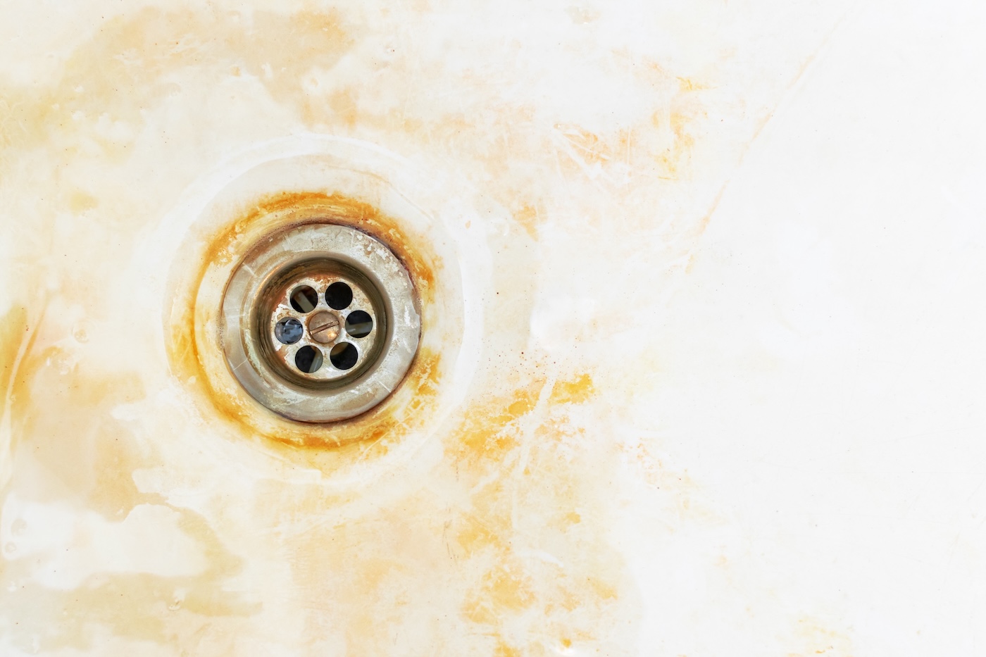 The Goo In Your Home Could Help Science Address Climate Change