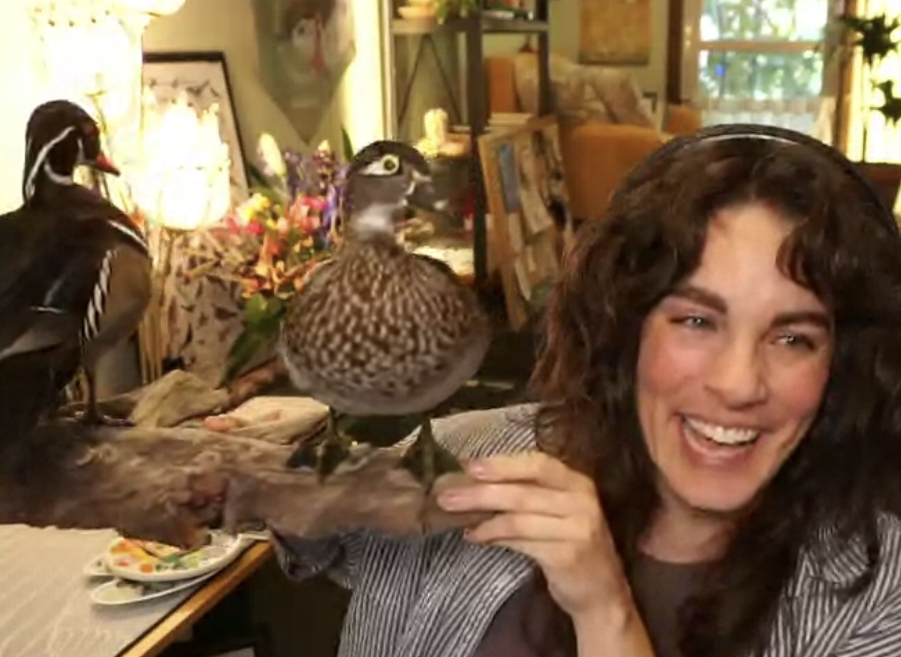 A woman wearing headphones and holding up a pair of taxidermied wood ducks.