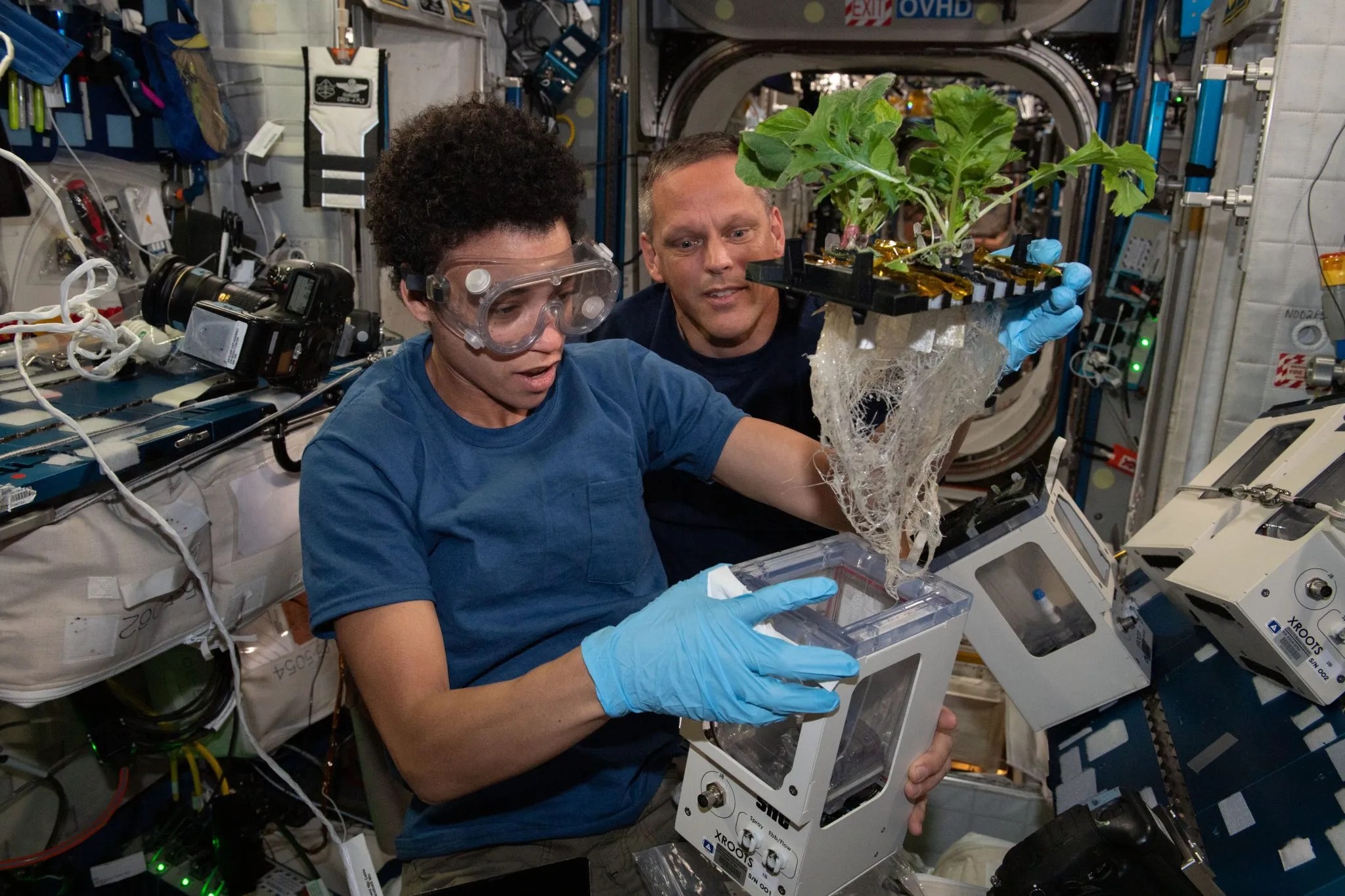 Two astronauts aboard International Space Station examining plant specimens, with one wearing safety goggles, surrounded by green plants growing in space agriculture experiment setup.