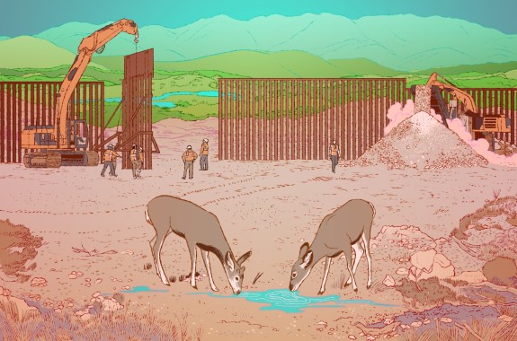 An illustration of deer drinking from a small puddle outside the construction of the US/Mexico border wall. They're being shut off from a lush area with lots of water.