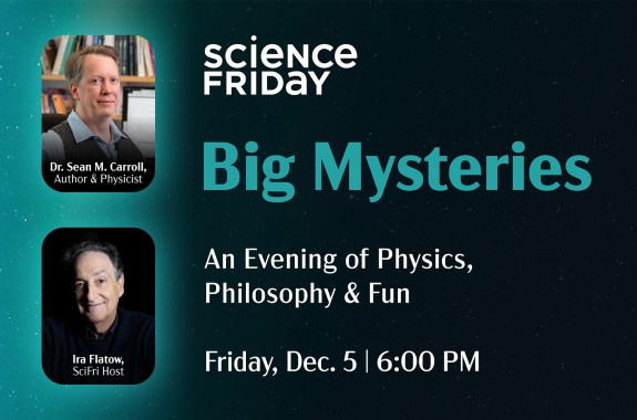 big mysteries- an evening of physics and philosophy with sean m carroll