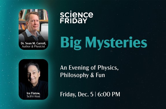 big mysteries- an evening of physics and philosophy with sean m carroll