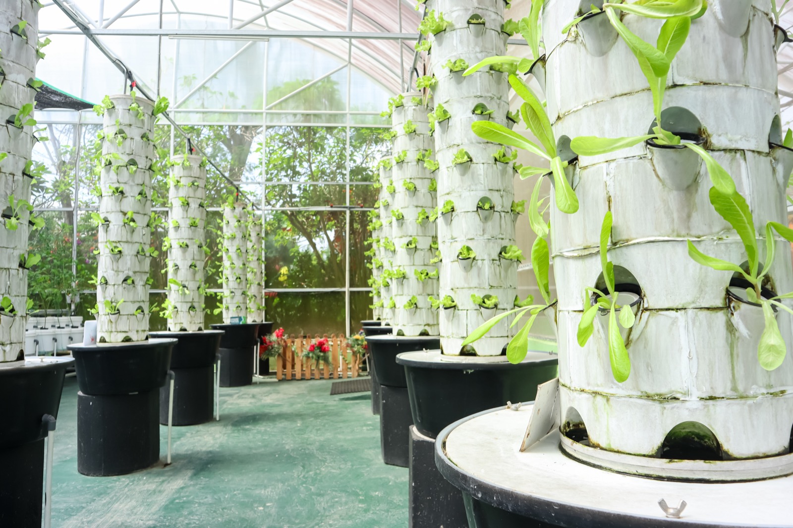Indoor vertical farming facility with white hydroponic towers containing plants growing from circular openings, housed within greenhouse structure.